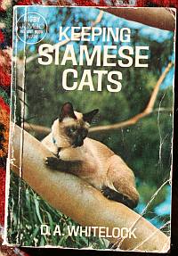 Keeping Siamese Cats, D.A. Whitelock