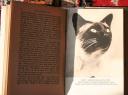 The Siamese Cats by Phyl Wade