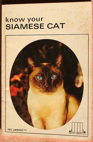 Know your Siamese Cat